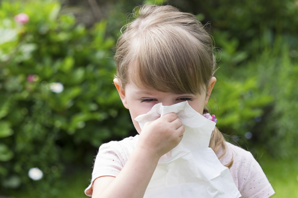 allergies cold flus differences