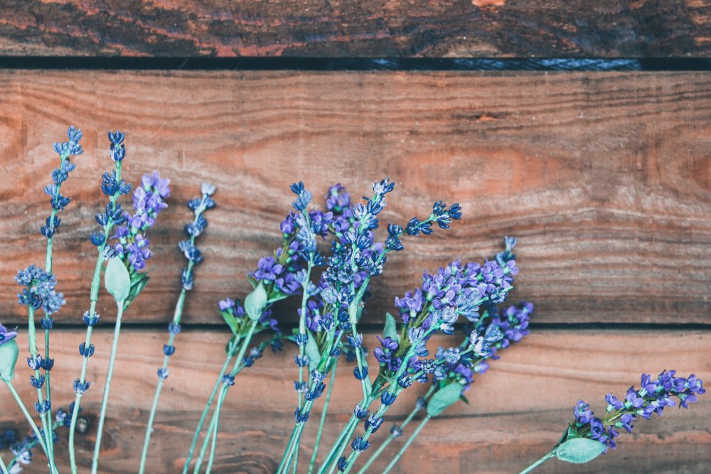 lavender health benefits